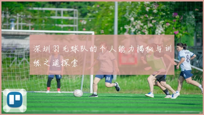 深圳羽毛球队的个人能力揭秘与训练之道探索
