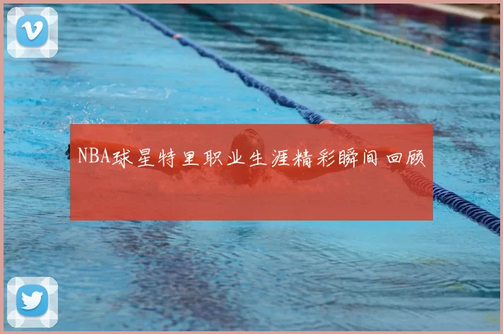 NBA球星特里职业生涯精彩瞬间回顾
