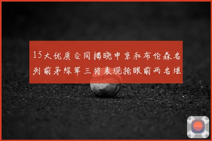 15大优质合同揭晓申京和布伦森名列前茅绿军三将表现抢眼前两名堪称传奇
