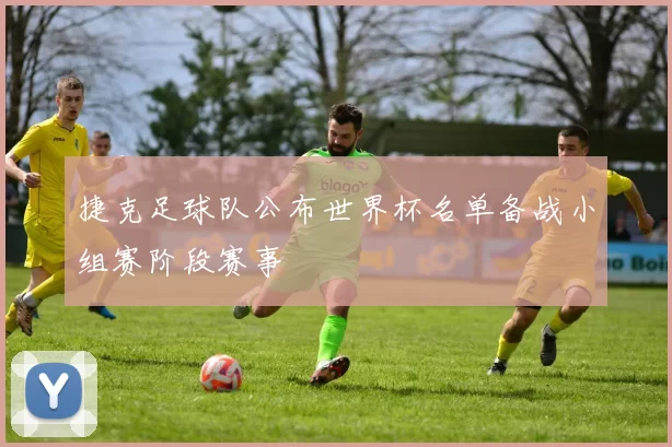 捷克足球队公布世界杯名单备战小组赛阶段赛事