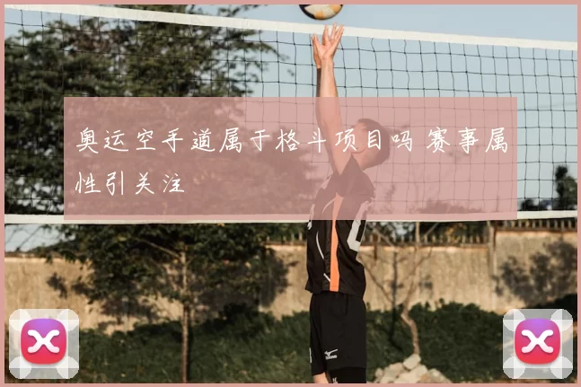 奥运空手道属于格斗项目吗 赛事属性引关注