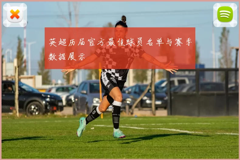 英超历届官方最佳球员名单与赛季数据展示