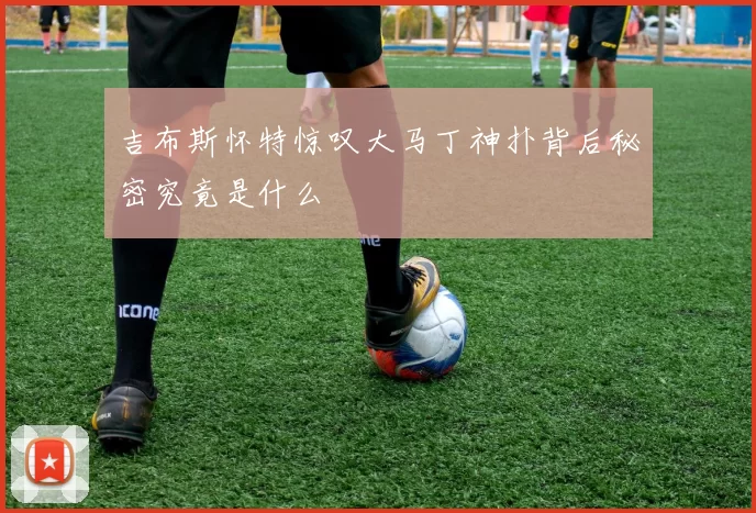吉布斯怀特惊叹大马丁神扑背后秘密究竟是什么