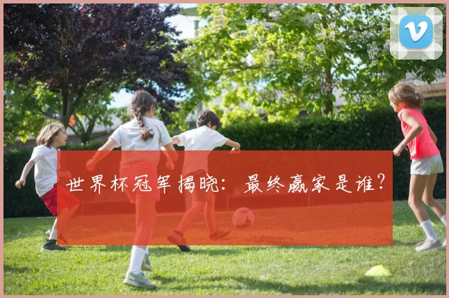 世界杯冠军揭晓：最终赢家是谁？