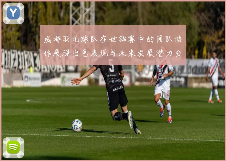 成都羽毛球队在世锦赛中的团队协作展现出色表现与未来发展潜力分析