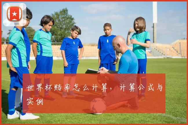 世界杯赔率怎么计算,计算公式与实例