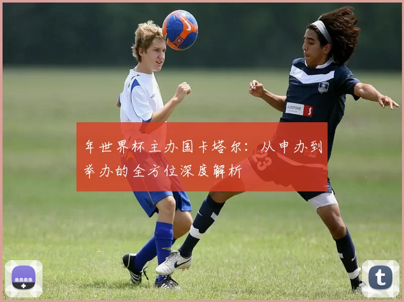 年世界杯主办国卡塔尔:从申办到举办的全方位深度解析
