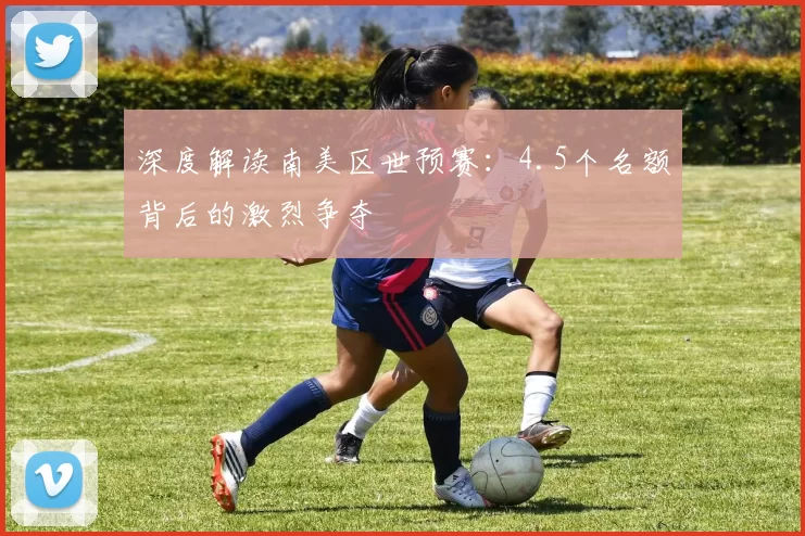 深度解读南美区世预赛：4.5个名额背后的激烈争夺