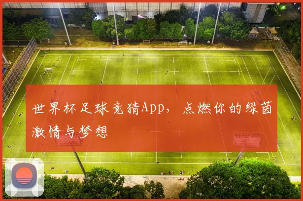 世界杯足球竞猜App，点燃你的绿茵激情与梦想
