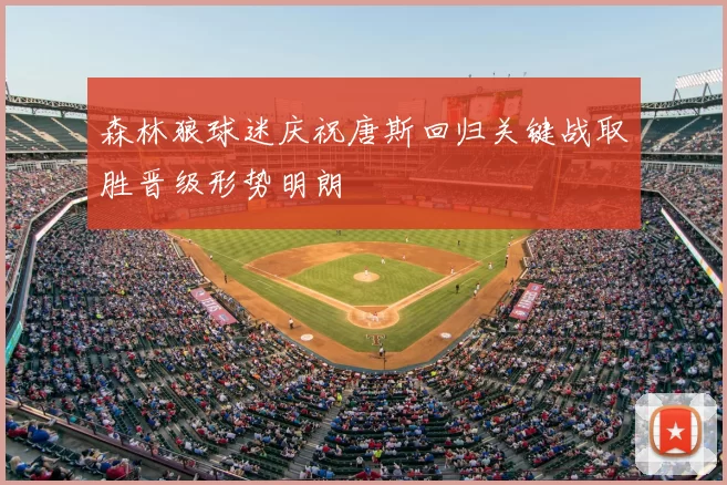 森林狼球迷庆祝唐斯回归关键战取胜晋级形势明朗