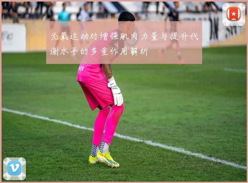 无氧运动对增强肌肉力量与提升代谢水平的多重作用解析