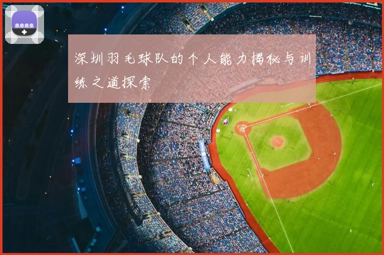 深圳羽毛球队的个人能力揭秘与训练之道探索