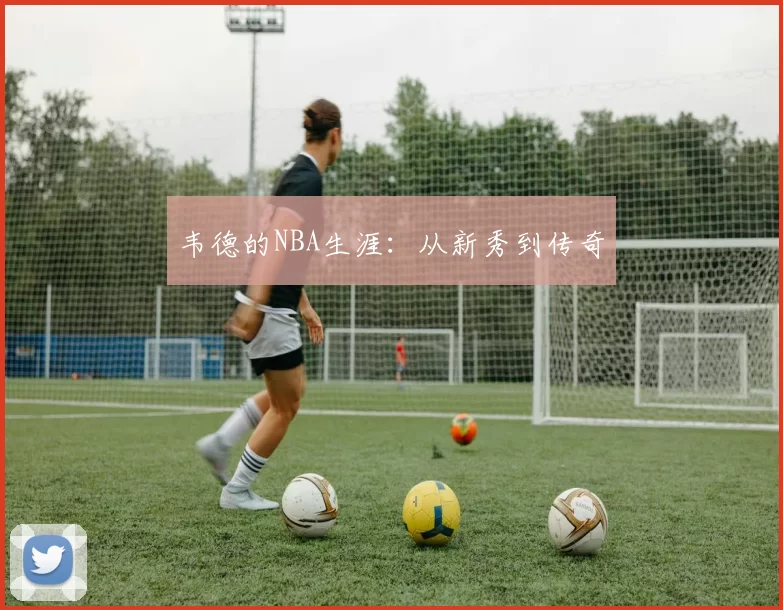 韦德的NBA生涯：从新秀到传奇