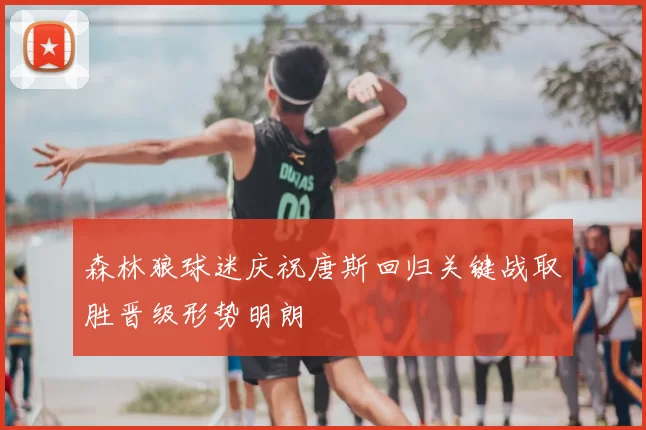 森林狼球迷庆祝唐斯回归关键战取胜晋级形势明朗