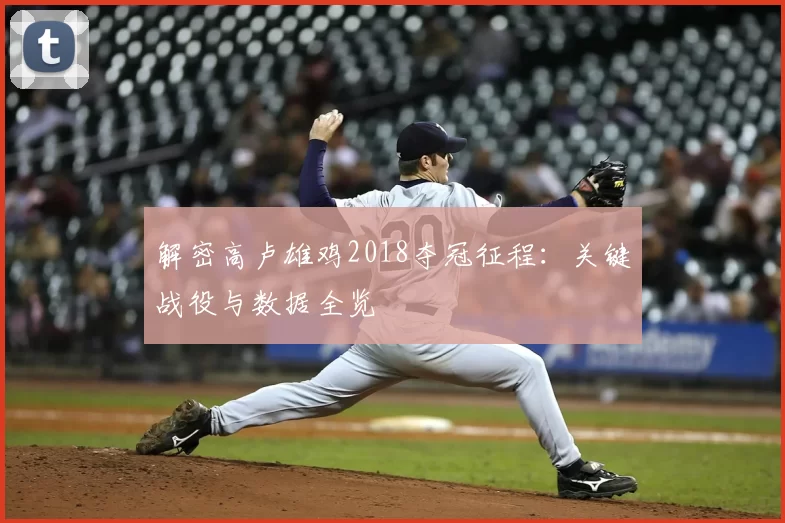 解密高卢雄鸡2018夺冠征程：关键战役与数据全览