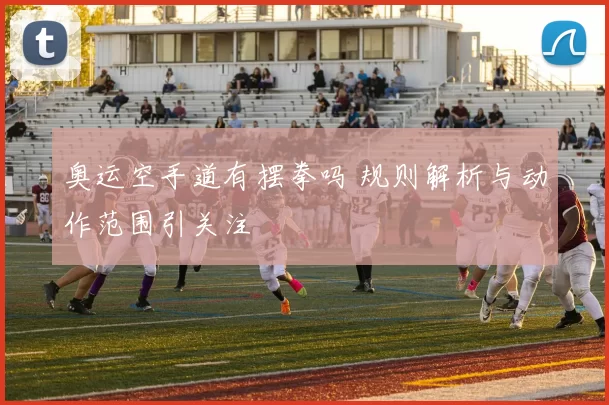 奥运空手道有摆拳吗 规则解析与动作范围引关注