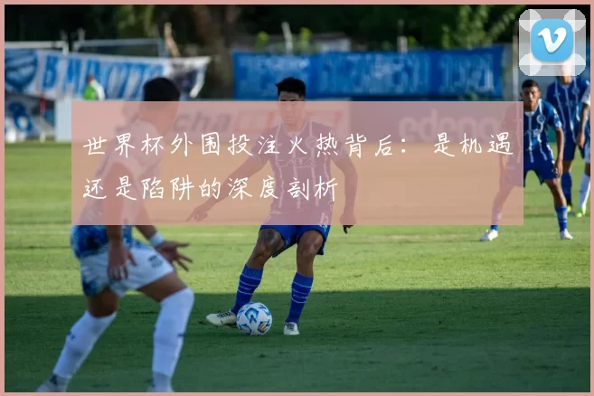 世界杯外围投注火热背后:是机遇还是陷阱的深度剖析