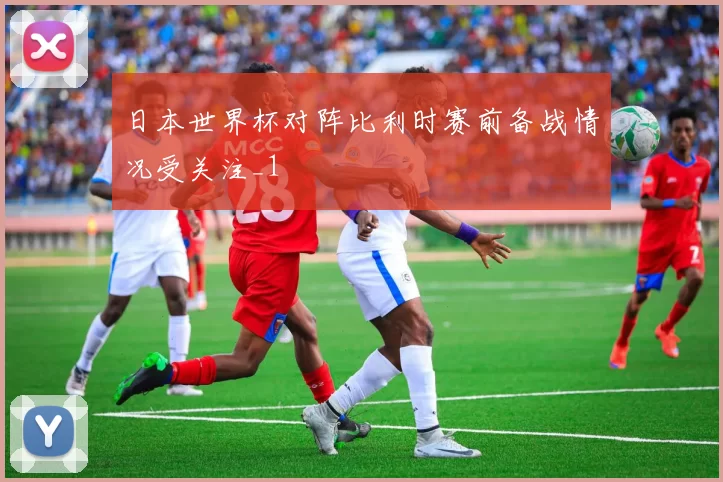 日本世界杯对阵比利时赛前备战情况受关注_1