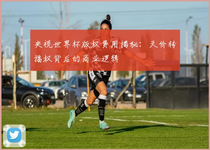 央视世界杯版权费用揭秘：天价转播权背后的商业逻辑