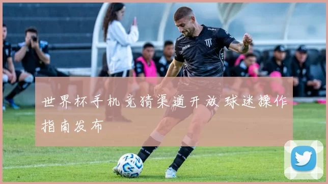 世界杯手机竞猜渠道开放 球迷操作指南发布