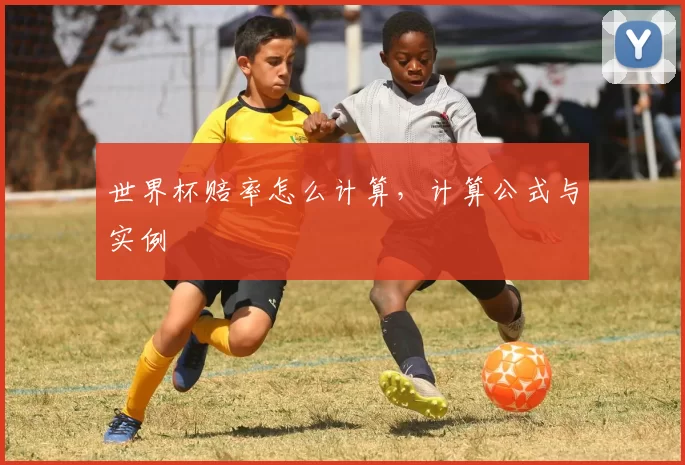 世界杯赔率怎么计算,计算公式与实例