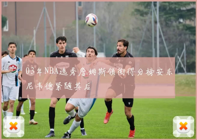 03年NBA选秀詹姆斯领衔得分榜安东尼韦德紧随其后