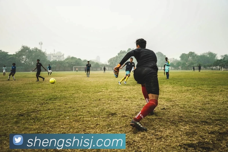 App Interface Preview